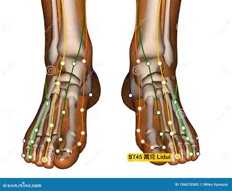 agopunto lv 4|Acupuncture.Com .